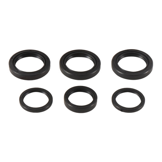 Differential Seal Kit 25-2065-5