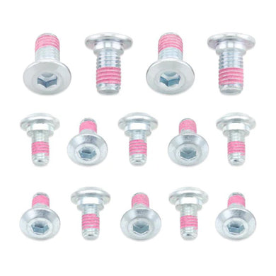 Bolt Disc / Rotor Bolts RM125 / RM250