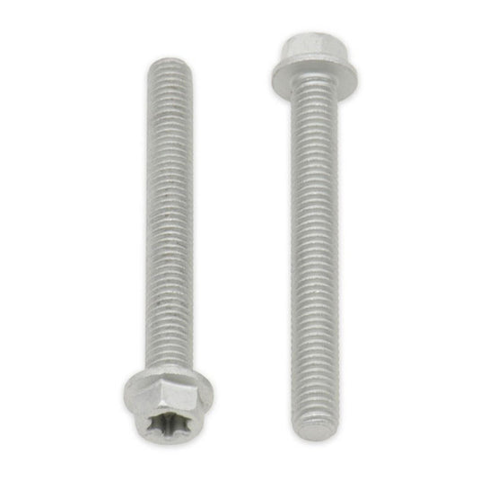 BOLT EURO TORX 6x25mm FLANGE BOLT (Pkt of 10)
