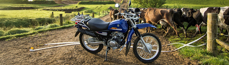 Yamaha dirt bike parked on a farm road with cows in the background.