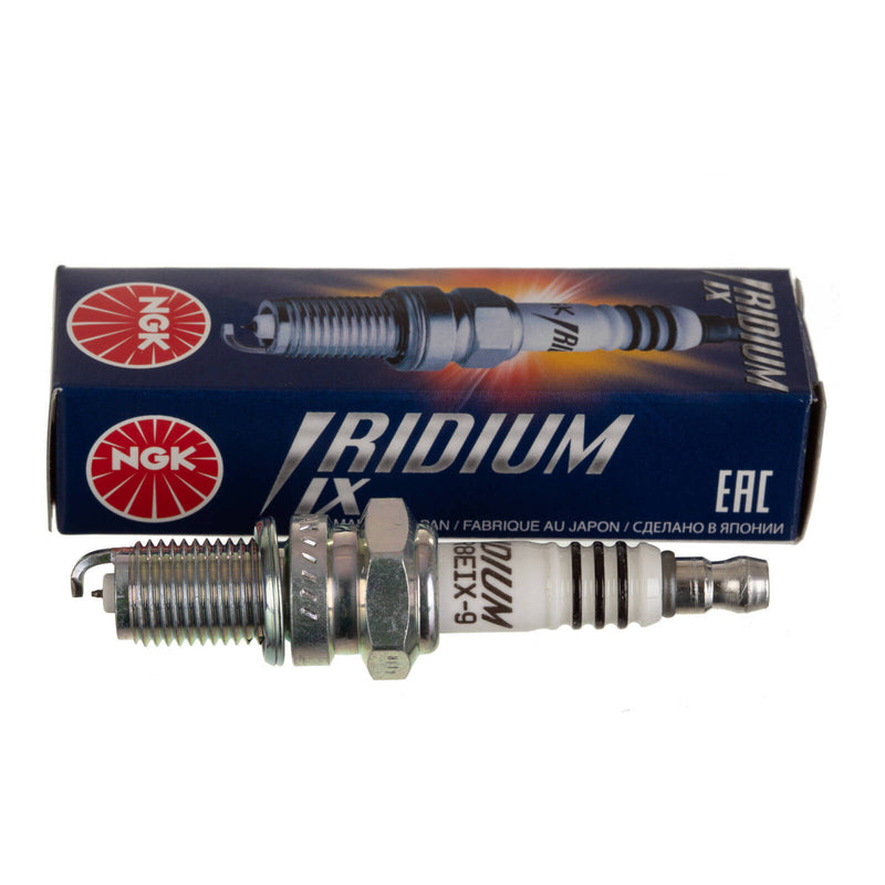 Load image into Gallery viewer, NGK Spark Plug - DPR8EIX-9 (2202)
