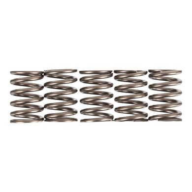 Premier Clutch Springs - Heavy Duty
