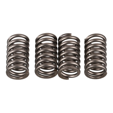 Premier Clutch Springs - Heavy Duty