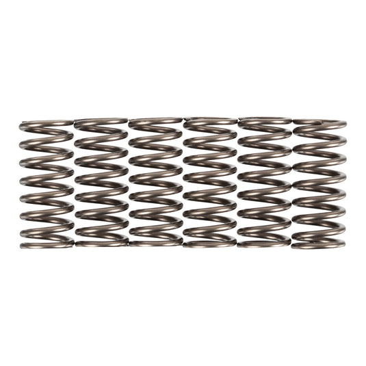 Premier Clutch Springs - Heavy Duty