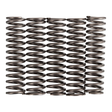 Premier Clutch Springs - Heavy Duty