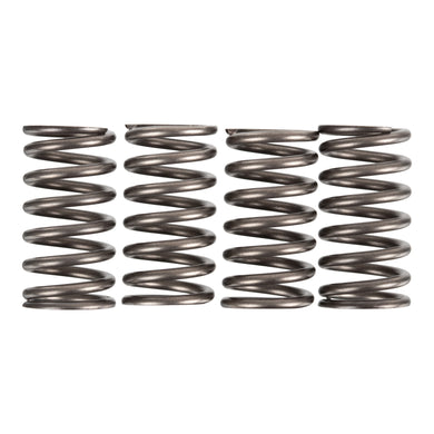 Premier Clutch Springs - Heavy Duty