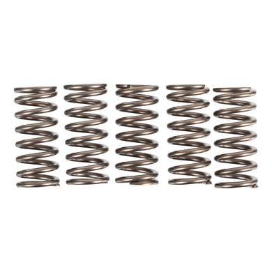 Premier Clutch Springs - Heavy Duty