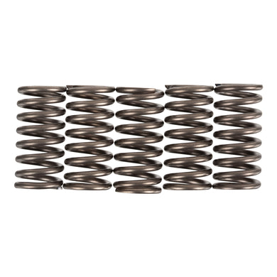 Premier Clutch Springs - Heavy Duty