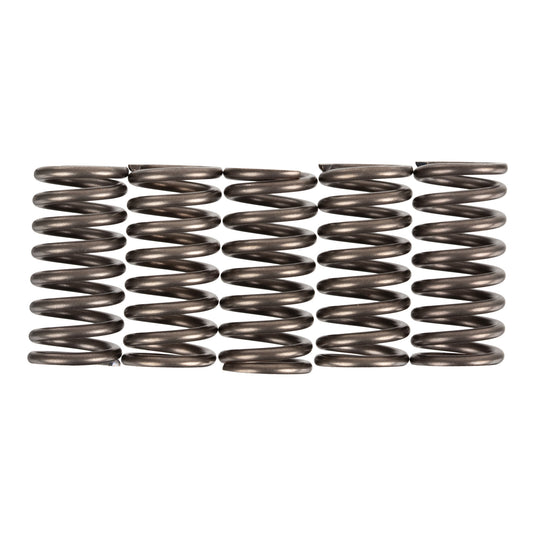 Premier Clutch Springs - Heavy Duty