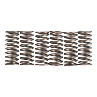 Premier Clutch Springs - Heavy Duty