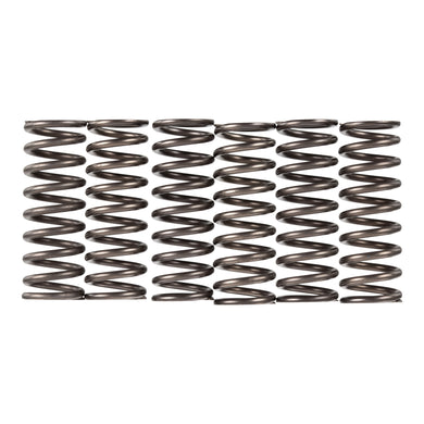 Premier Clutch Springs - Heavy Duty