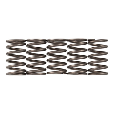 Premier Clutch Springs - Heavy Duty