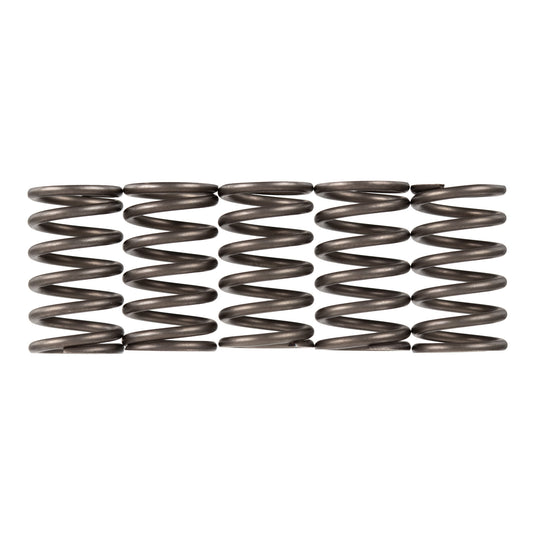 Premier Clutch Springs - Heavy Duty