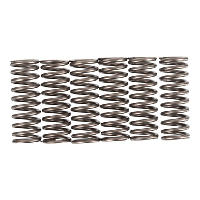 Premier Clutch Springs - Heavy Duty