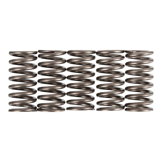 Premier Clutch Springs - Heavy Duty