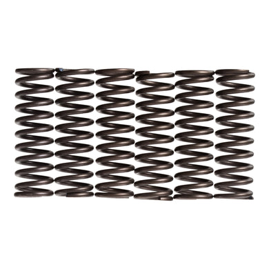 Premier Clutch Springs - Heavy Duty
