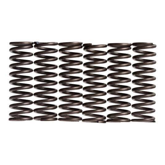 Premier Clutch Springs - Heavy Duty