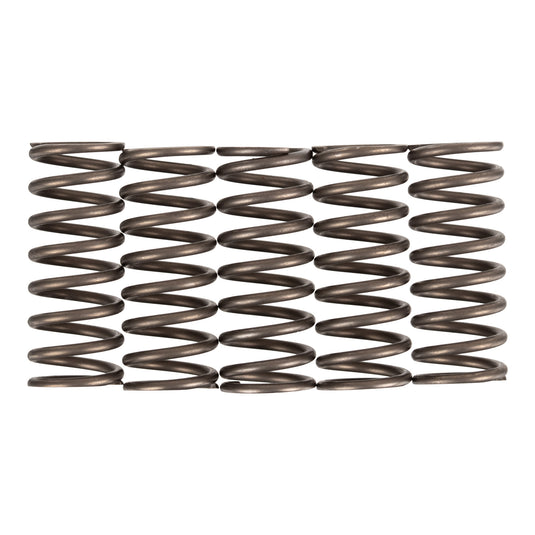 Premier Clutch Springs - Heavy Duty