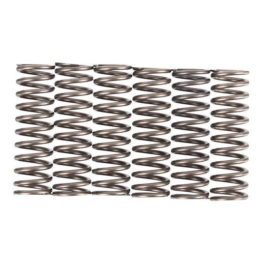 Premier Clutch Springs - Heavy Duty