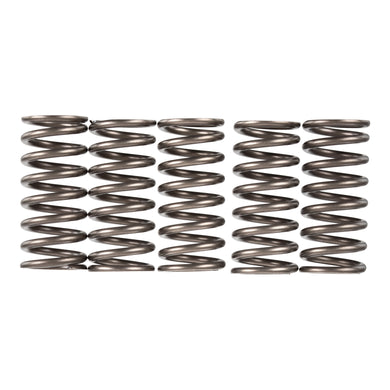 Premier Clutch Springs - Heavy Duty