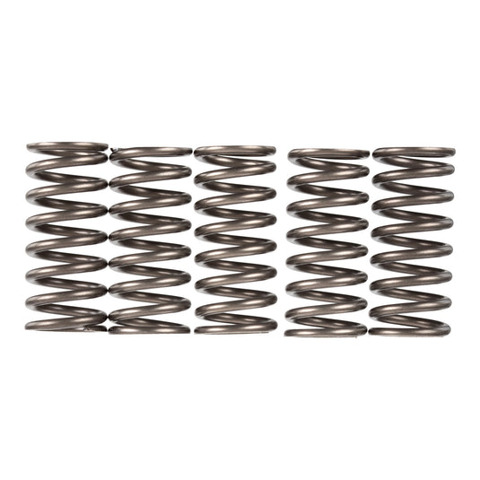 Premier Clutch Springs - Heavy Duty