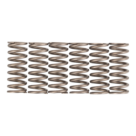 Premier Clutch Springs - Heavy Duty