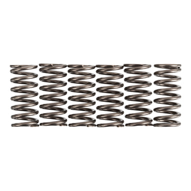 Premier Clutch Springs - Heavy Duty