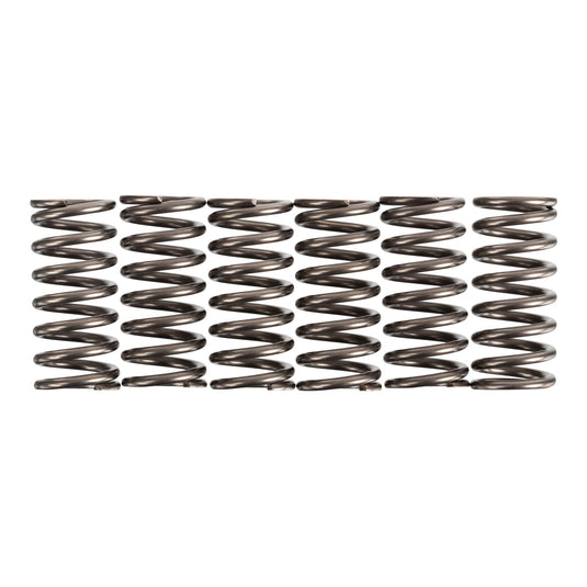 Premier Clutch Springs - Heavy Duty