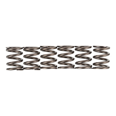 Premier Clutch Springs - Heavy Duty