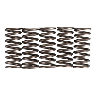 Premier Clutch Springs - Heavy Duty