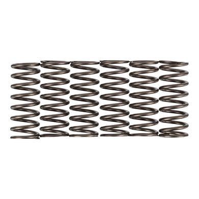 Premier Clutch Springs - Heavy Duty