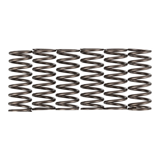 Premier Clutch Springs - Heavy Duty