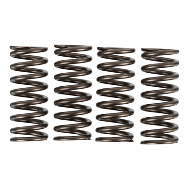 Premier Clutch Springs - Heavy Duty