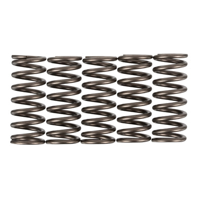 Premier Clutch Springs - Heavy Duty