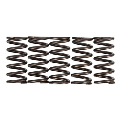 Premier Clutch Springs - Heavy Duty