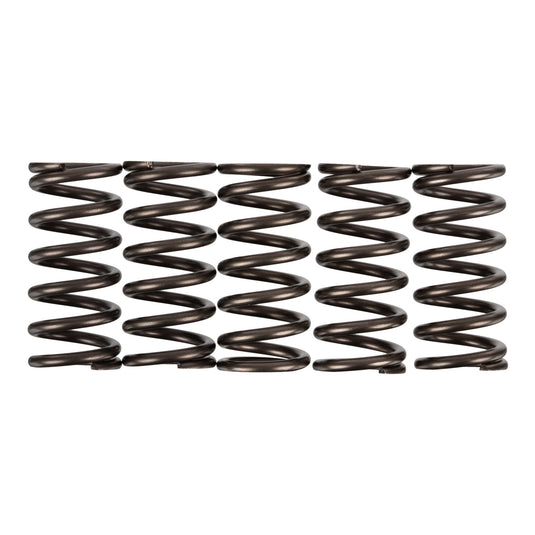 Premier Clutch Springs - Heavy Duty