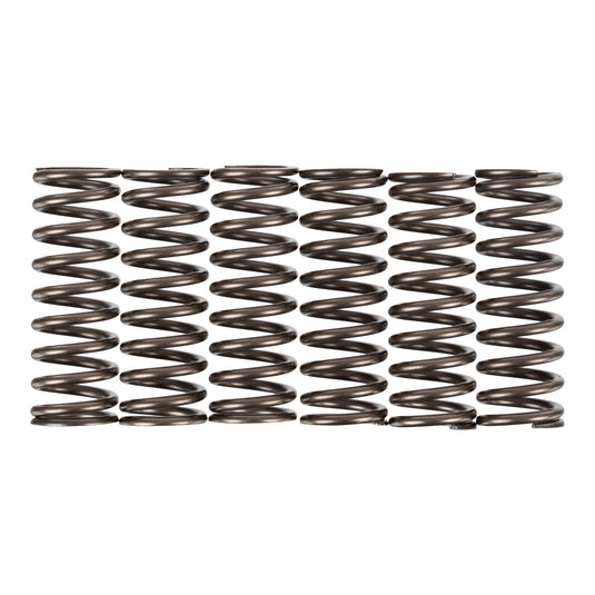 Premier Clutch Springs - Heavy Duty