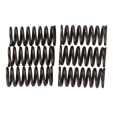 Premier Clutch Springs - Heavy Duty