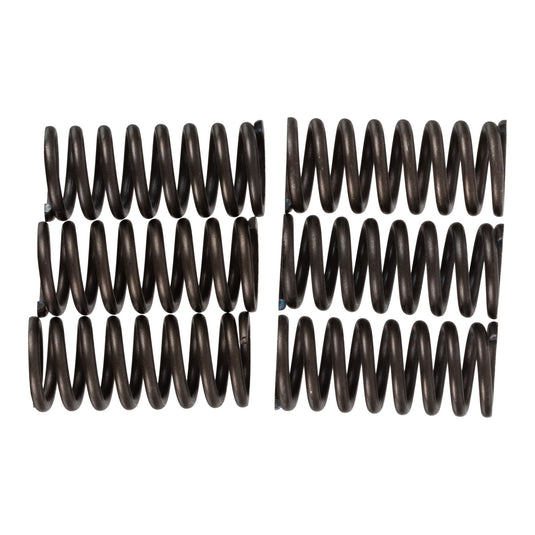 Premier Clutch Springs - Heavy Duty