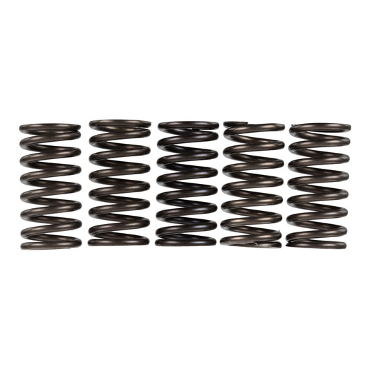 Premier Clutch Springs - Heavy Duty