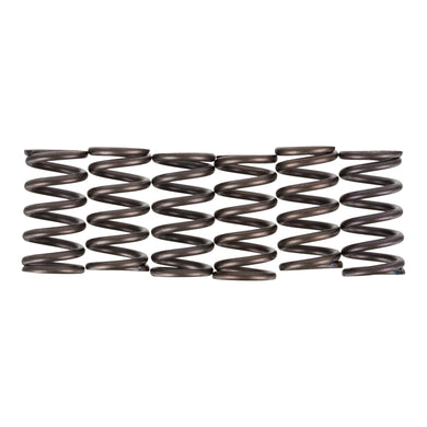 Premier Clutch Springs - Heavy Duty