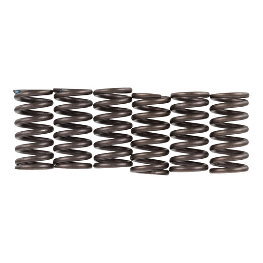 Premier Clutch Springs - Heavy Duty