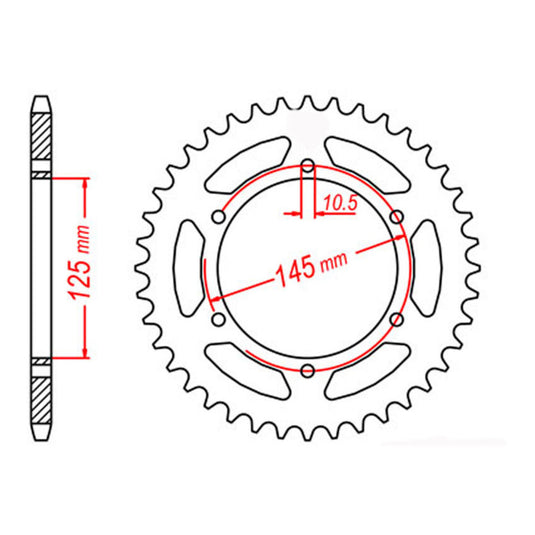 RK 855 Steel Rear Sprocket 