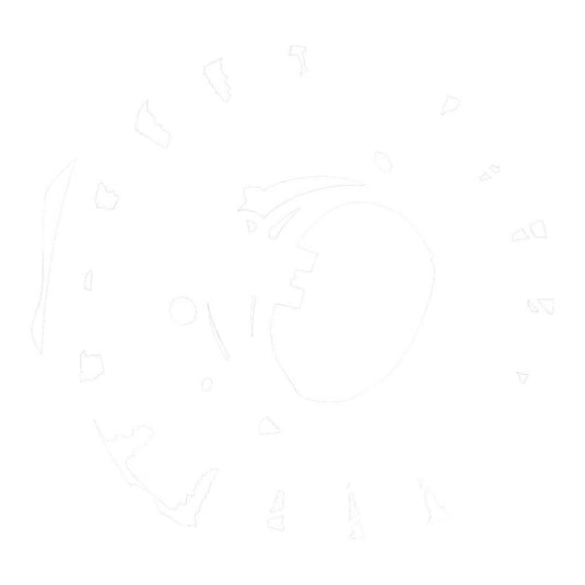 Stator Yamaha XVS650 V-Star Custom '04-'16 (RMS010-103240)