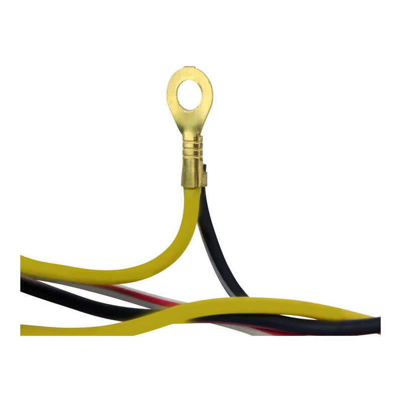 Load image into Gallery viewer, Stator Suzuki RM250 &#39;01-&#39;08 (RMS010-107702)
