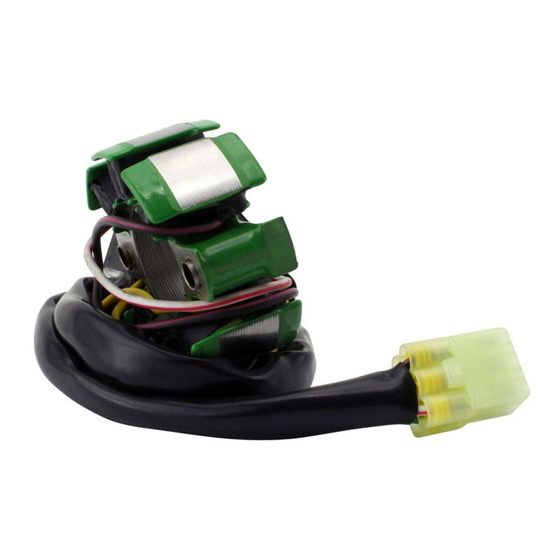 Load image into Gallery viewer, Stator Suzuki RM250 &#39;01-&#39;08 (RMS010-107702)
