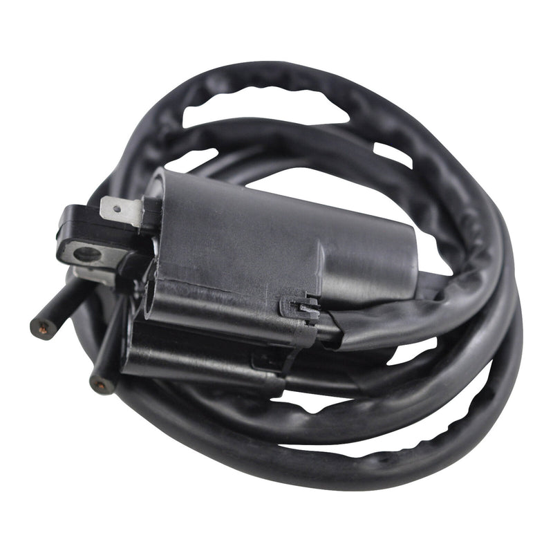 Load image into Gallery viewer, External Ignition Coil - Assorted Yamaha Models
