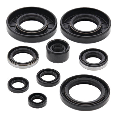 Oil Seal Kit 822292