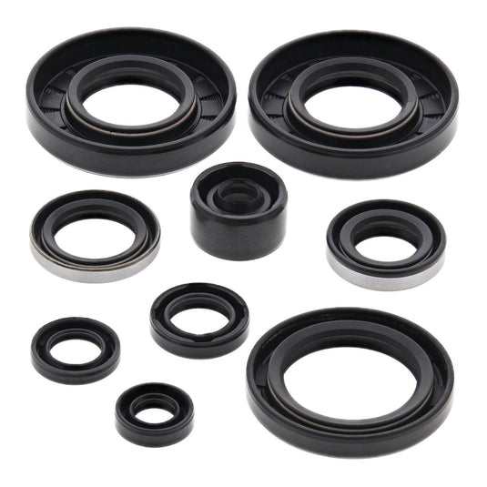 Oil Seal Kit 822292