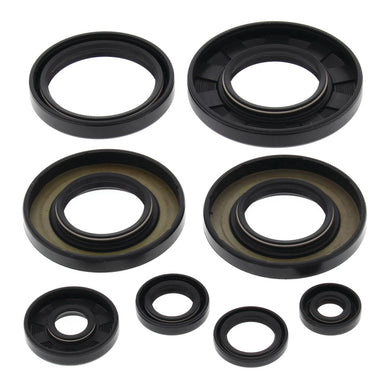 Oil Seal Kit 822349